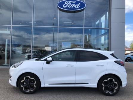 FORD Puma 1.0 EcoBoost Hybrid 125ch ST Line X S&S Powershift à vendre à Oyonnax - Image n°8