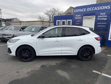 FORD Kuga 2.5 Duratec 225ch PHEV ST-Line X BVA à vendre à Orléans - Image n°8