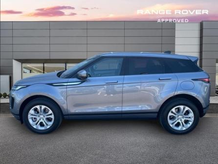 LAND-ROVER Range Rover Evoque 1.5 P300e 309ch S AWD BVA 11cv à vendre à Troyes - Image n°2